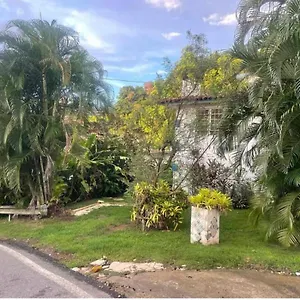 jungle-bungalow-studio-in.top-hotels-puertorico.com/